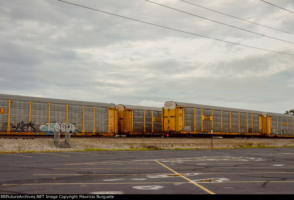 TTGX CSX Autoracks in the yard